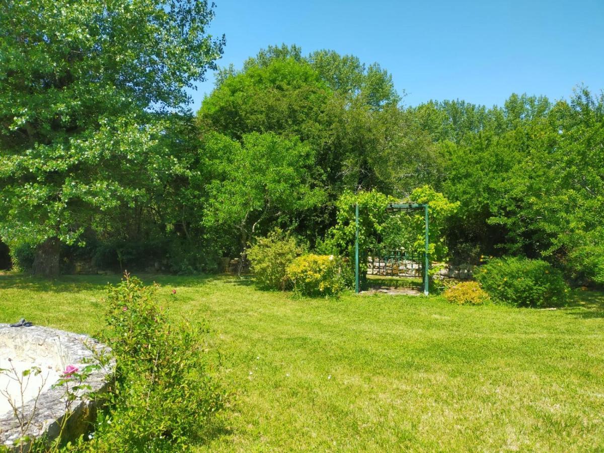 Grande Villa Au Coeur De La Dordogne Paussac-et-Saint-Vivien Eksteriør billede